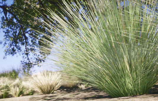 Digital Plant 8