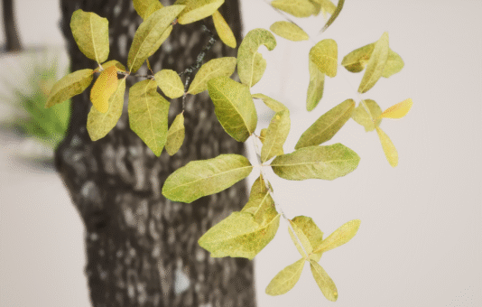 Digital Plant 2